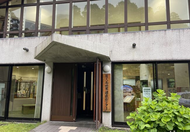 【メル11865】世界遺産 屋久杉 置物 2025年最新】屋久杉オブジェの人気アイテム - メルカリ