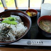 名産のシラスを使ったお料理が美味しい