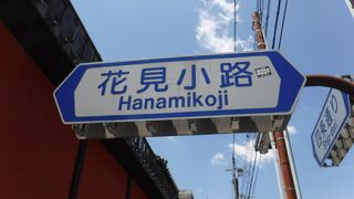 舞妓さんや芸妓さんの姿が見られるかも