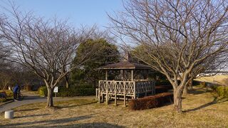 江戸川と利根運河が交わるところ