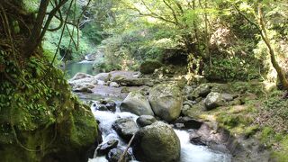 心が洗われるような景色