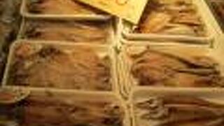 さかなセンターのそば