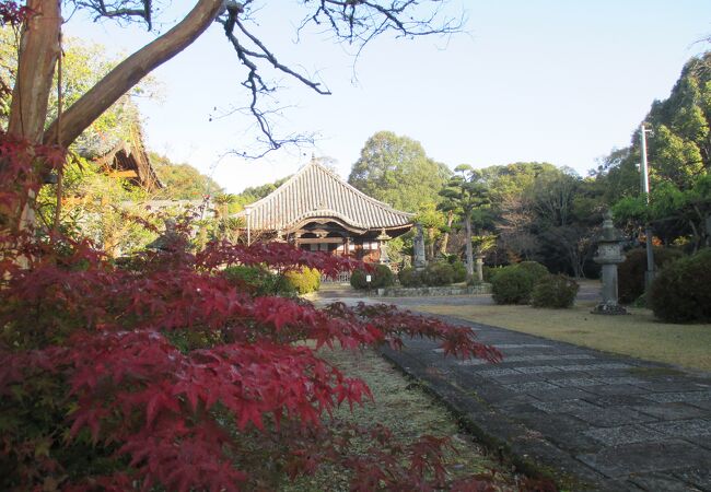 大きなお寺さんでした。