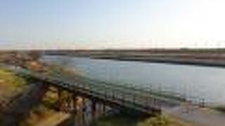 ダイナミックな光景が見られました