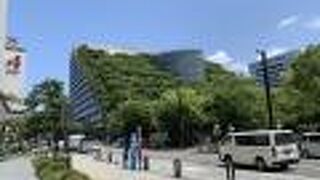 公園の隣りに山が