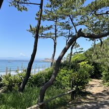 公園の遊歩道からの眺め