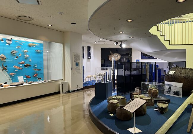 昭和天皇が採集された標本が展示されている