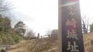 暖かくなりました