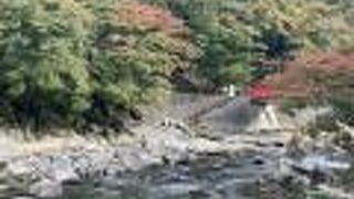 大きな秋みーつけた！🍁