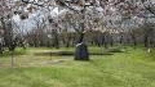 オホーツク文化