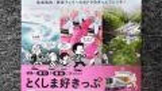 のんびりと時間をかけた旅気分は如何？　～　南海電鉄 南海本線