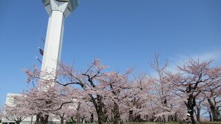 事前にコンビニでチケット買えます