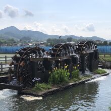 前面道路側から見た三連水車です。