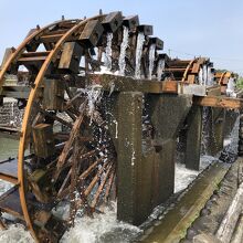 躍動感がある三連水車のアップ写真