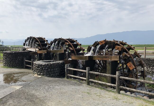 今年も稼働した日本最古の三連水車