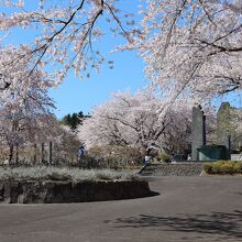オニウシ公園の景色