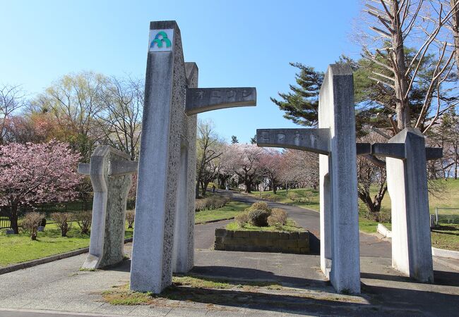道南屈指の桜の名所