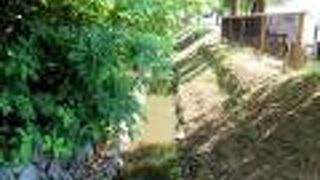 環濠集落の面影が再現されていました