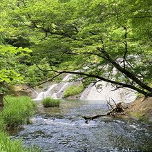 温泉ホテル近くの滝