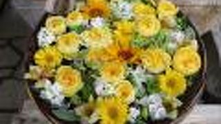 夏らしいお花が見れました