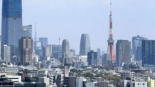 遠くにうっすら・・・