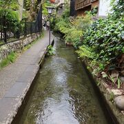 郡上八幡を代表する名水の風景