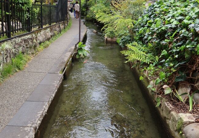 郡上八幡を代表する名水の風景