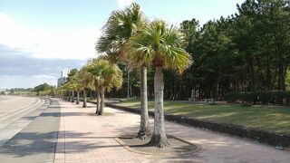 青島神社の北側に広がる