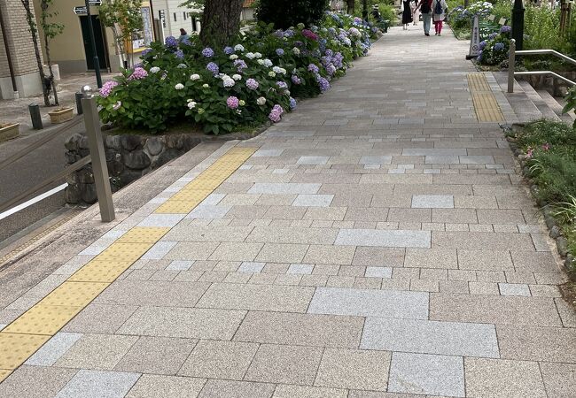 花のみち クチコミ アクセス 営業時間 宝塚 フォートラベル