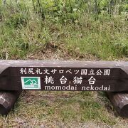 奇岩が見える