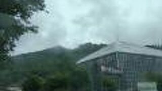 とちぎ花センター