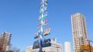 ドイツ語で「５月の木」です。