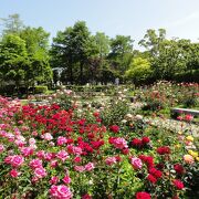 城跡公園も兼ねた市民のオアシス　～　徳島中央公園