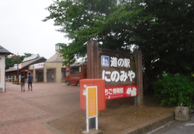 国道２９４号沿い