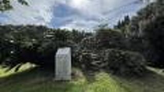 遠見台からは樹木で見渡せません！