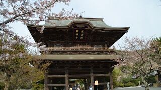 鎌倉五山の第一位の建長寺、桜の盛りの三門が印象的