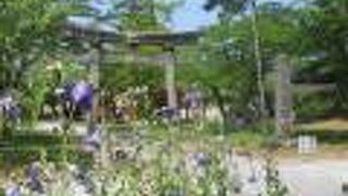 お城というよりは、今では地形などの城跡を楽しむ