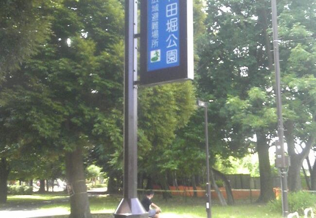 かなり広い公園