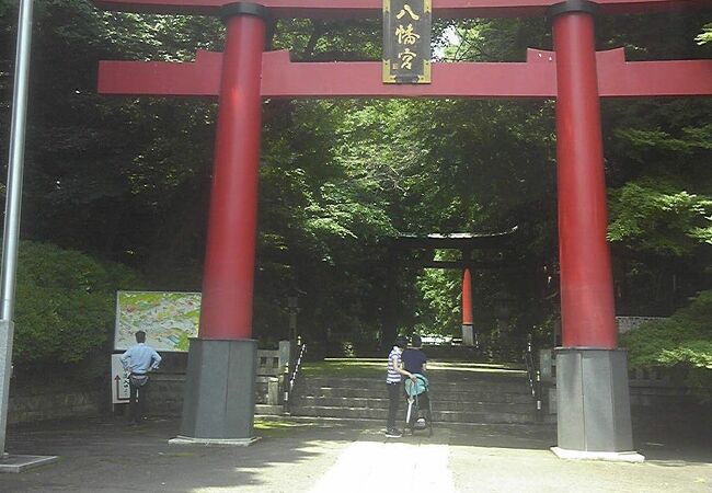 高井戸 千歳烏山 八幡山のおすすめ観光スポット クチコミ人気ランキングtop フォートラベル 東京 高井戸 千歳烏山 八幡山のおすすめ観光スポット クチコミ人気ランキングtop フォートラベル 東京