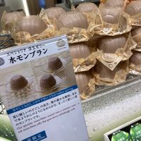 マールブランシュ ジェイアール京都伊勢丹店 ショップ