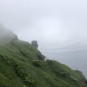 霧の中かろうじて見えた猫岩