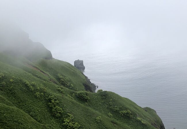 霧の中かろうじて見えた猫岩