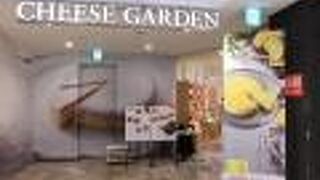 １０種類のチーズは限定１０食でした