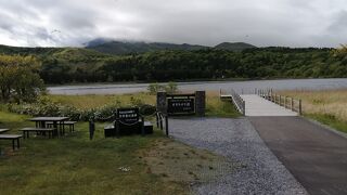 カモメがいっぱい