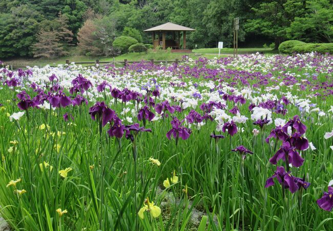 物見山総合公園