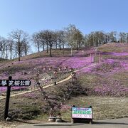 ５月の芝桜シーズンの訪問がお勧め