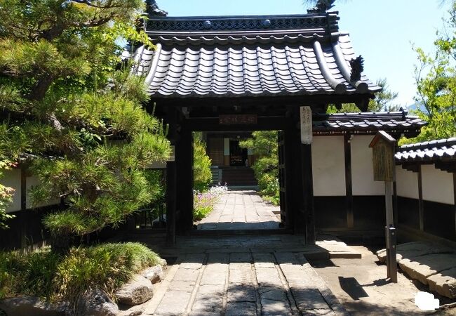 境内の植物が豊かな寺院
