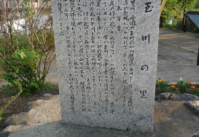 玉川の里　春の桜と初夏の卯の花が綺麗