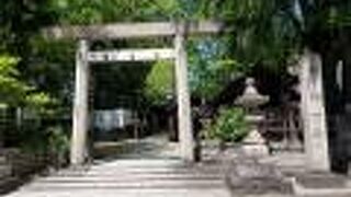 木々が多くてちょっと暗い