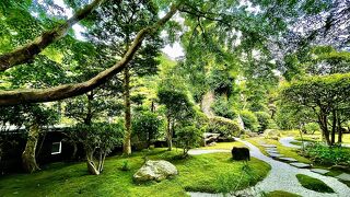 竹林で有名だけど普通にお庭も素敵！